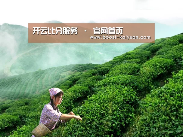开云比分服务 · 官网首页